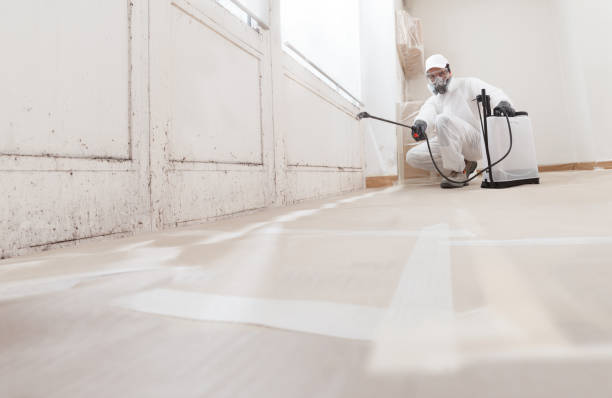 24/7 Emergency Attic Mold Remediation experts in Carrollton, IL